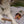 Load image into Gallery viewer, Fresh breathe cookies
