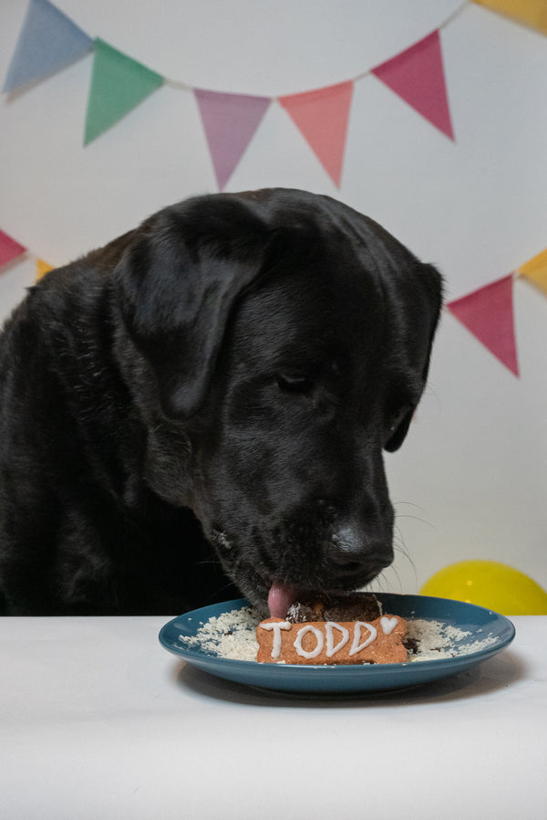 Birthday cake mix