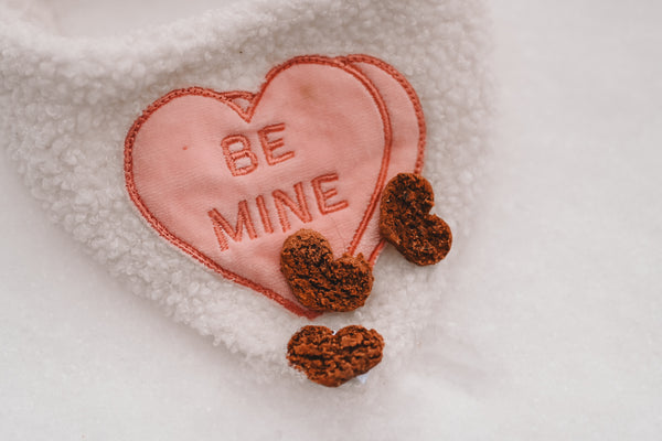 Boîte de biscuits - St-Valentin