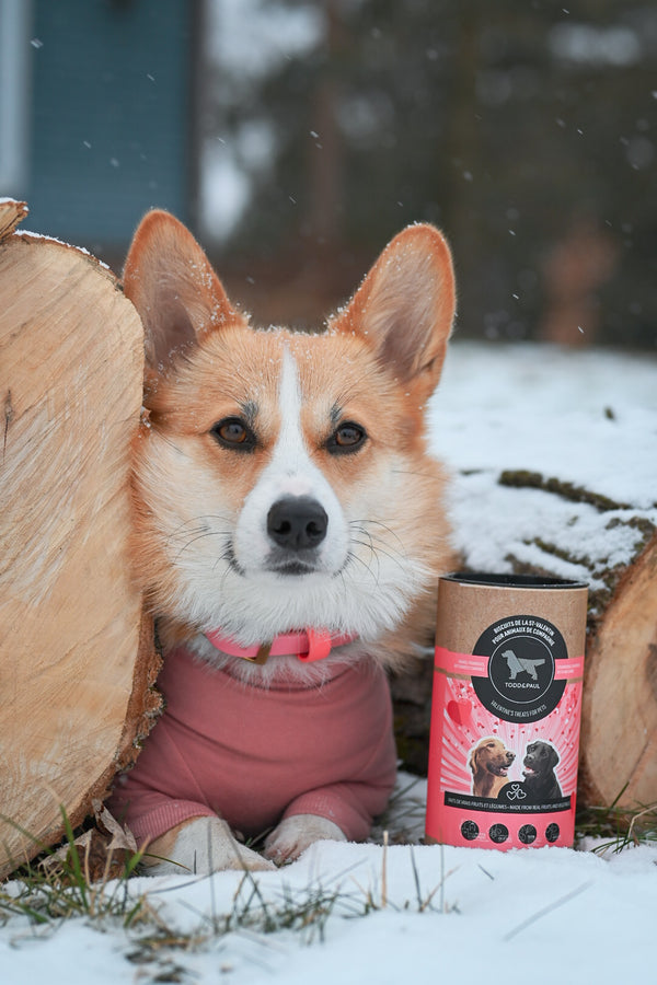 Boîte de biscuits - St-Valentin