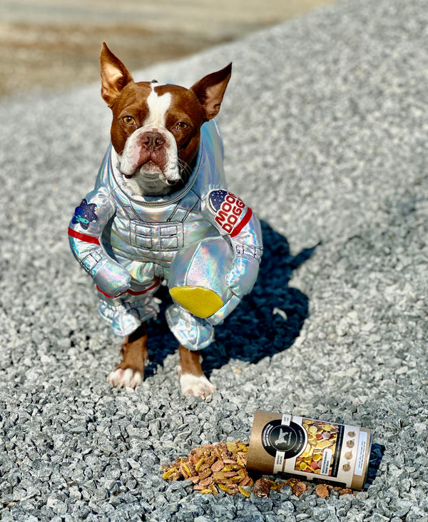 Cookies box - training treats
