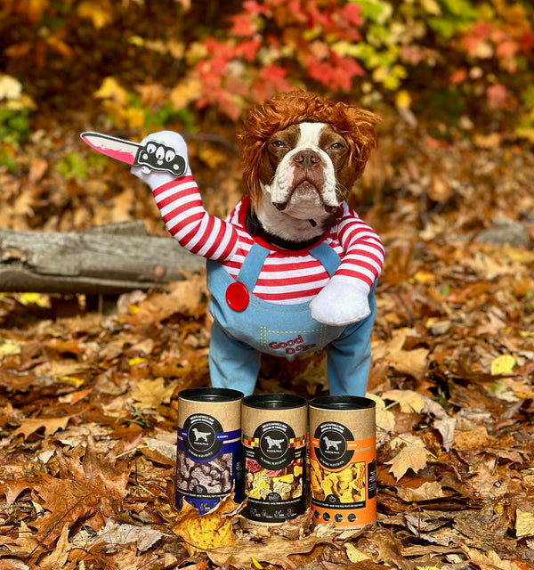 Cookies box - Pumpkins