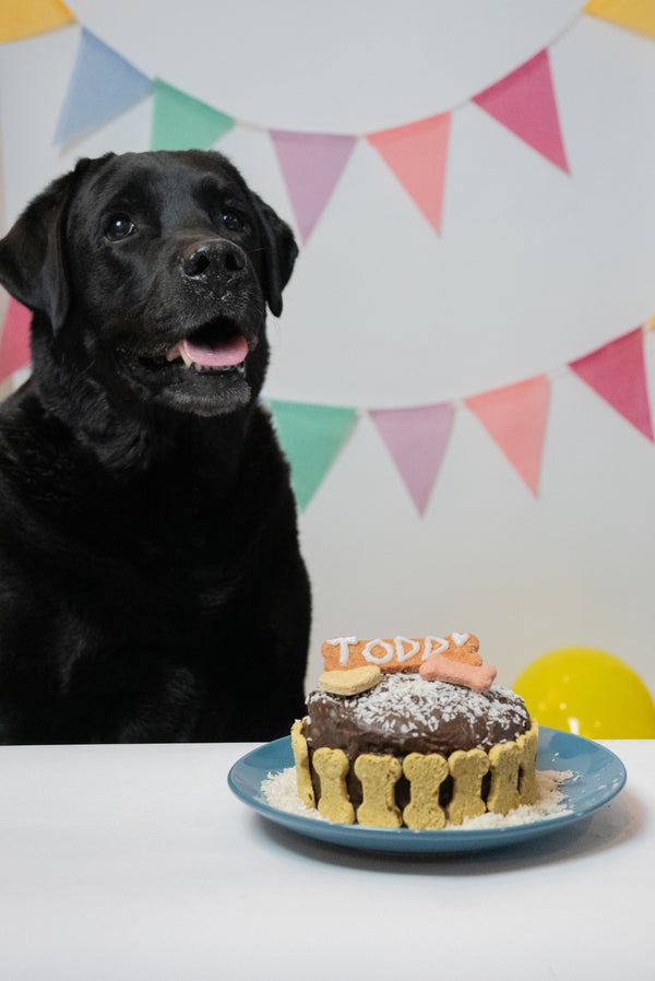 Mélange gâteau d'anniversaire